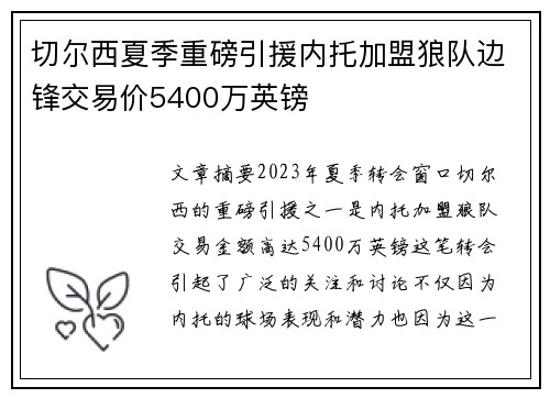 切尔西夏季重磅引援内托加盟狼队边锋交易价5400万英镑